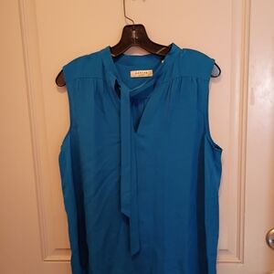 Aritzia Vibrant Blue Tie-Neck Blouse